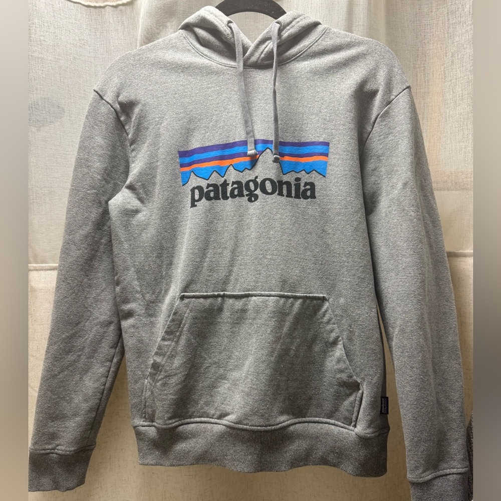 Patagonia hoodie